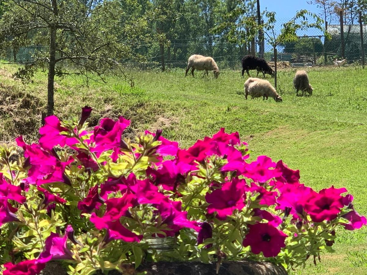 Agroturismo Urresti Gautegiz Arteaga Luaran gambar